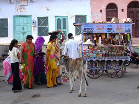 Marchand de bonbons � Pushkar