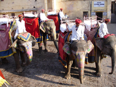 El�phants du Fort d'Amber