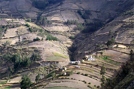 Paysage andin aux alentours de Riobamba