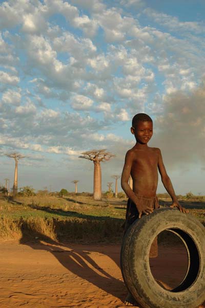 All�e des baobabs