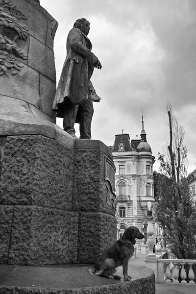 Gardien de statue