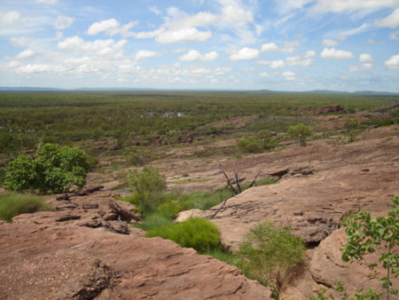 Billabongs