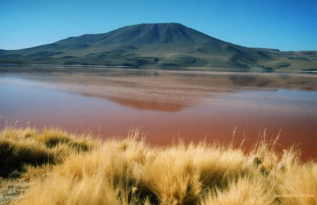 Laguna Colorada