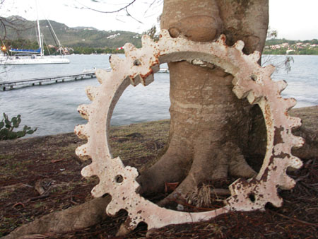 Arbre gourmand