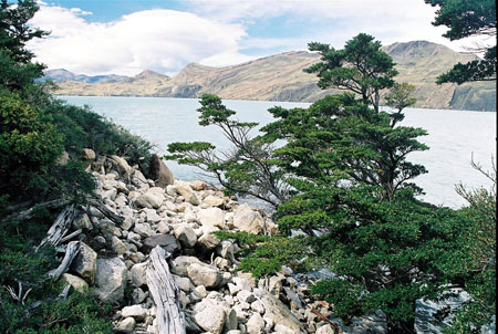 Torres del Paine