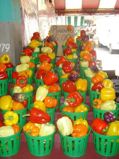 March� Jean Talon
