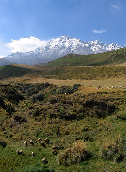 Chimborazo