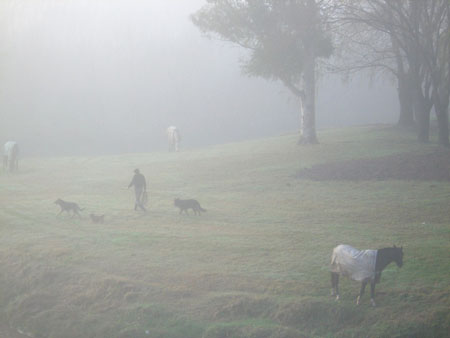 C'est l' hiver dans la Pampa