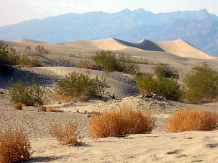 Death Valley, un nom pas vol� !