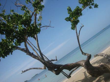 Plage de Jama�que