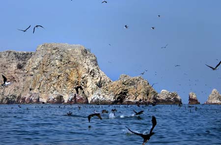 Paracas