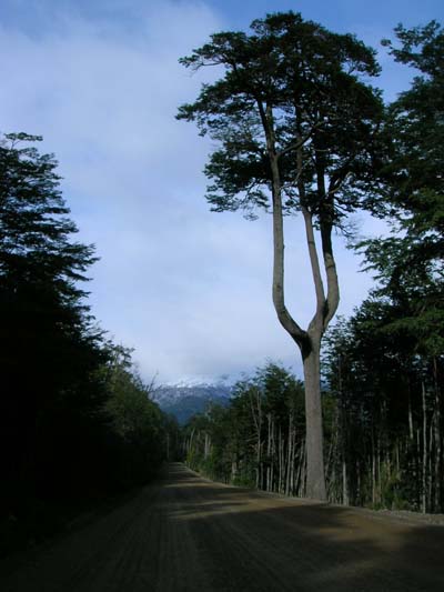 Carretera Austral