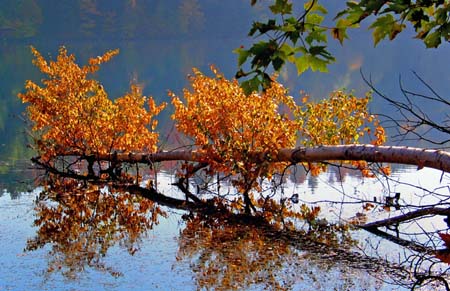 Les couleurs du Qu�bec