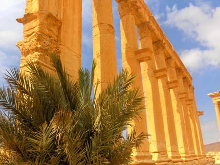 Colonnades � Palmyre