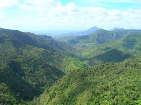 Panorama