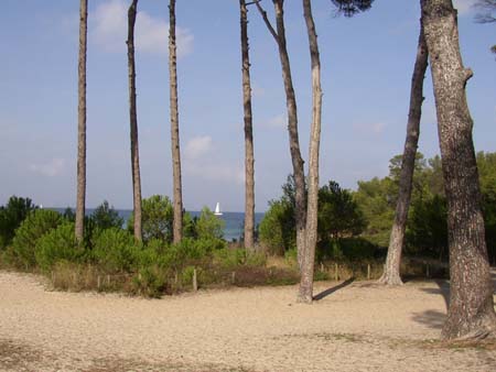 Ile de Porquerolles