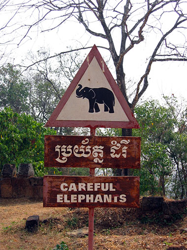 Attention aux �l�phants !