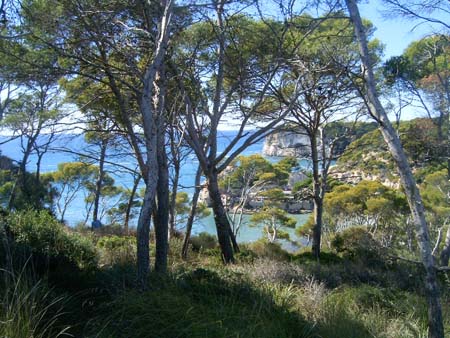 Littoral