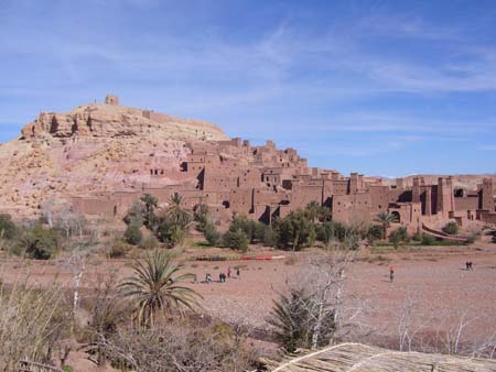 Oasis