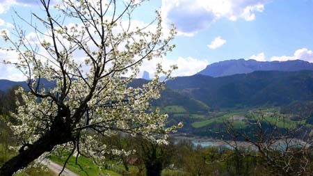Le mont aiguille � travers les branches