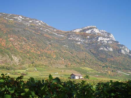 La Savoyarde
