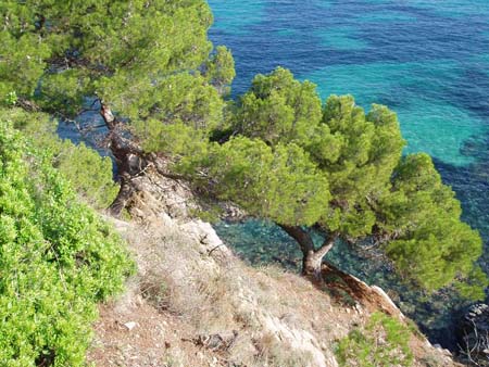Sentier du littoral