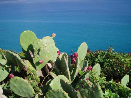 Sentier du littoral