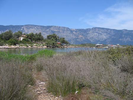 Ile de Cl��patre
