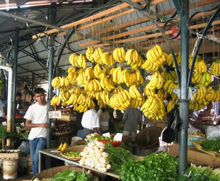 Port Louis, le march�