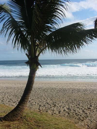 Grand Anse