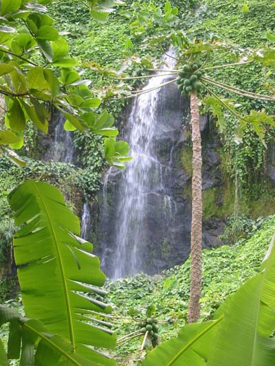 Anse des cascades