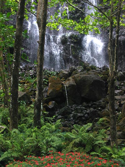 Cascades