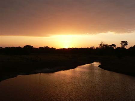 Coucher de soleil sur les Llanos