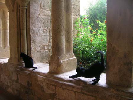 Abbaye de Valmagne
