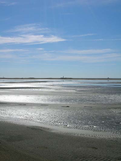Plage de l'Espiguette