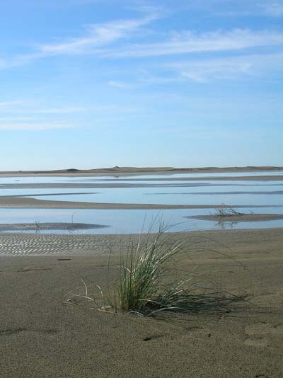 Plage de l'Espiguette
