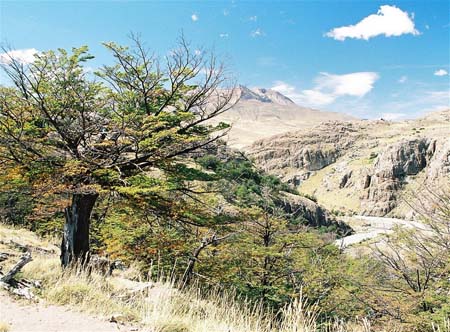 El Chalt�n