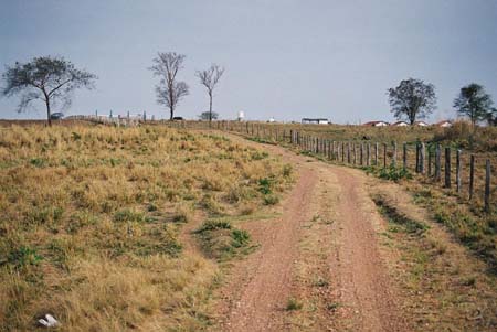 Barri�res dans le Mato Grosso do Sul