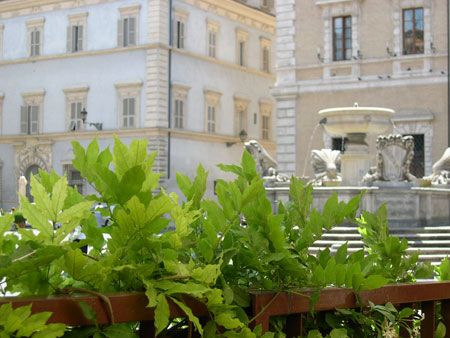Vue d'une petite terrasse � Trastevere
