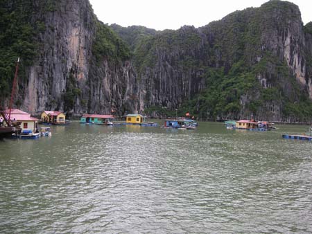 Baie de Ha Long