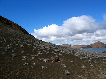 Paysage volcanique