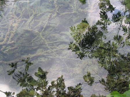 Clart� et reflets