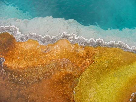 Black Pool geyser