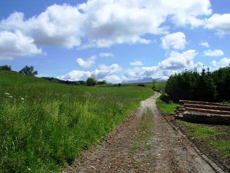 Chemin de campagne � Miribel les Echelles