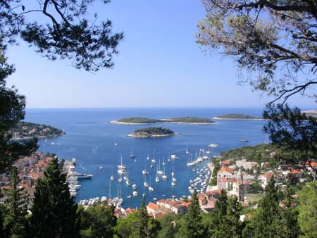 Hvar au milieu des pins