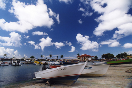 Petit port de p�che