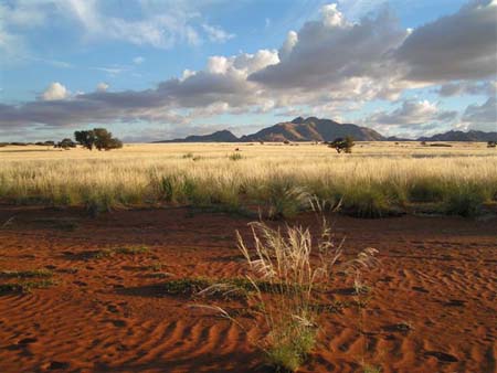 Sossusvlei