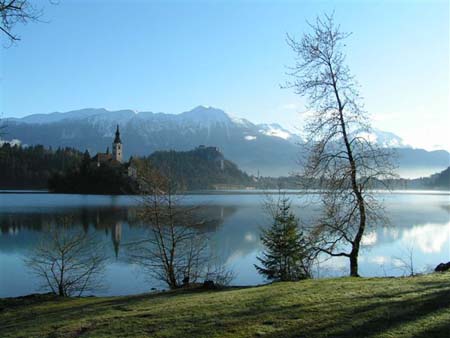Bled