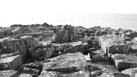 Neist point