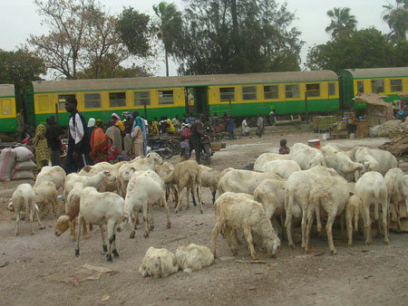 March� gare de dakar 8